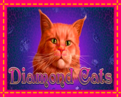 Stroj Diamond Cats so zaujímavou mechanikou