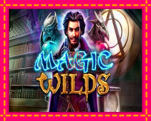 Stroj Magic Wilds so zaujímavou mechanikou