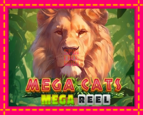 Stroj Mega Cats Mega Reel so zaujímavou mechanikou