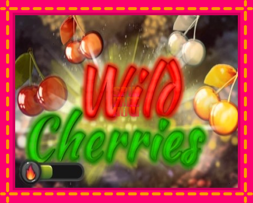 Stroj Wild Cherries so zaujímavou mechanikou