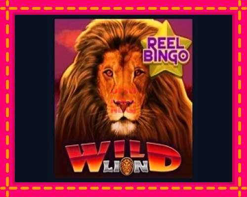 Stroj Wild Lion with Reel Bingo so zaujímavou mechanikou